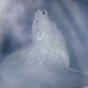 Meet your Posher, Alisha